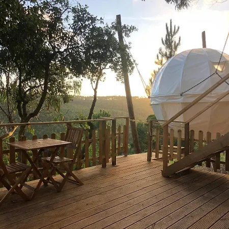 Wood Valley Cocoon